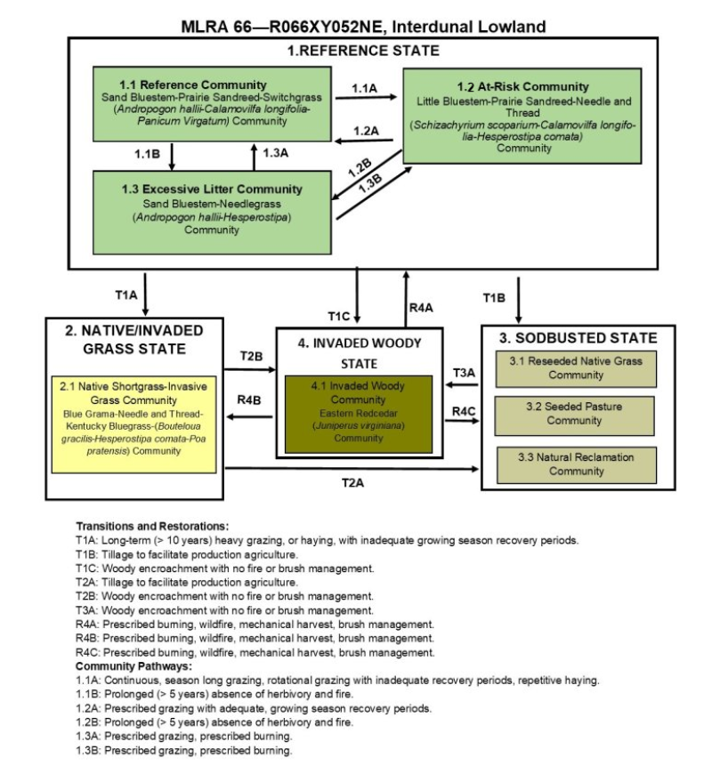 Model diagram