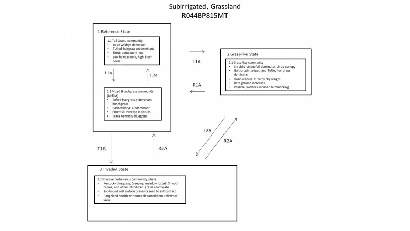 Model diagram
