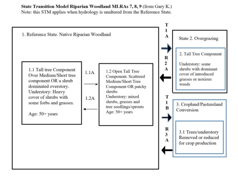 Model diagram