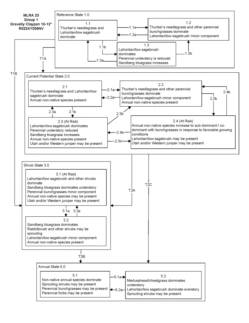 Model diagram