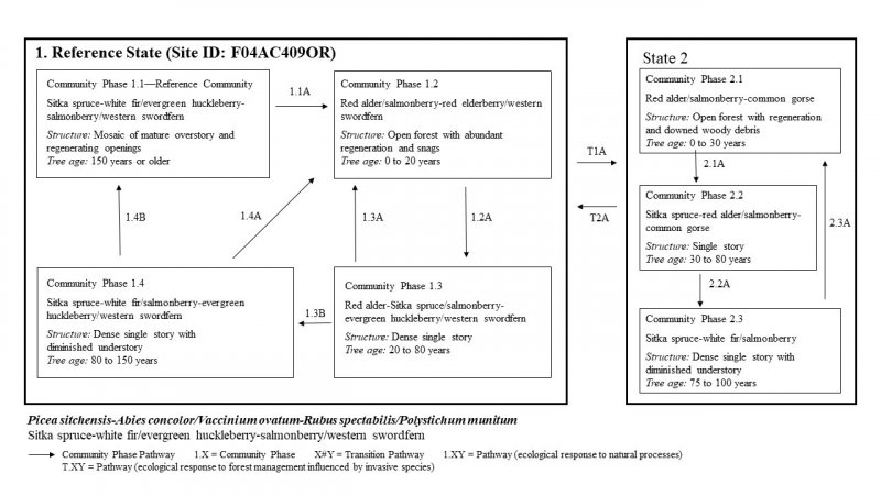 Model diagram