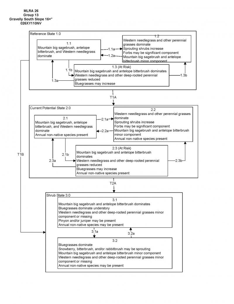 Model diagram