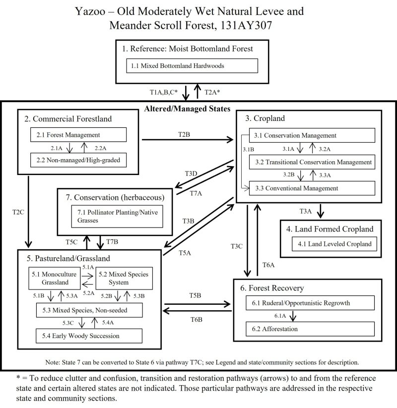 Model diagram