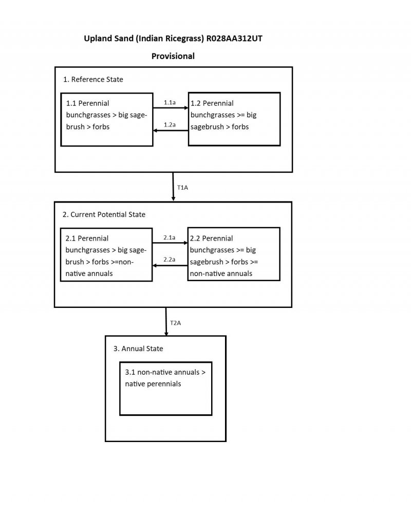 Model diagram