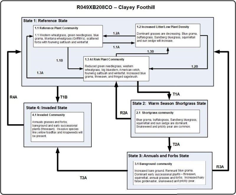 Model diagram