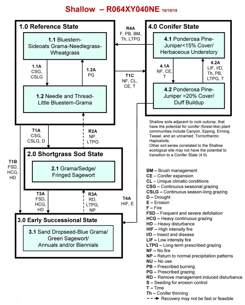 Model diagram