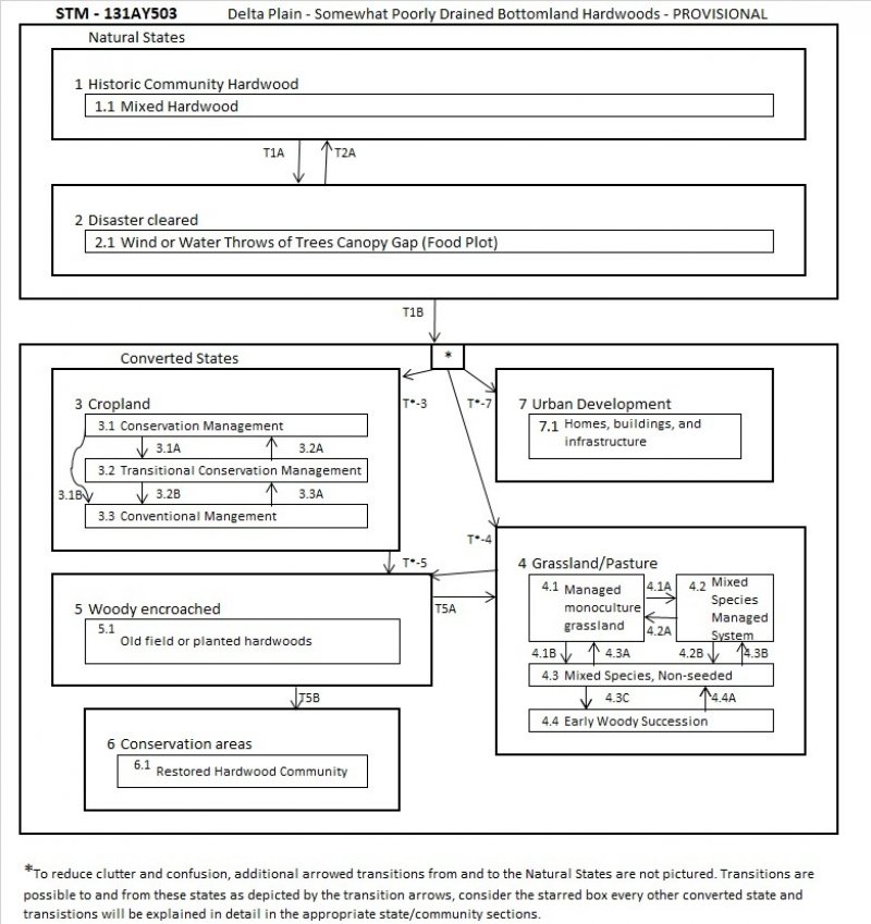 Model diagram