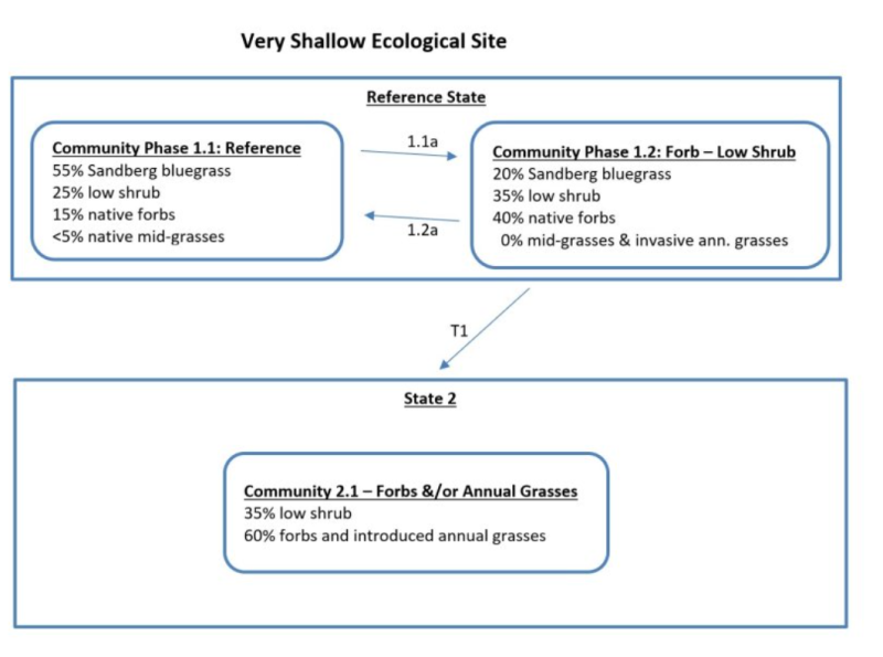Model diagram