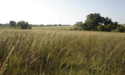 Box image