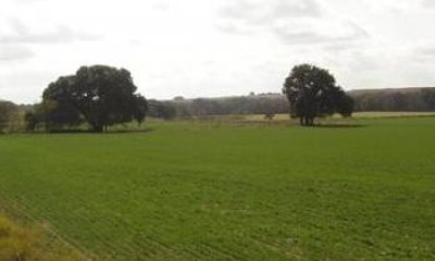 Box image