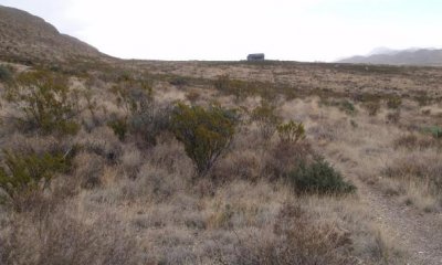 Short-Midgrass/Shrub Complex State