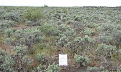 Box image