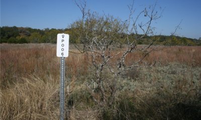 Box image