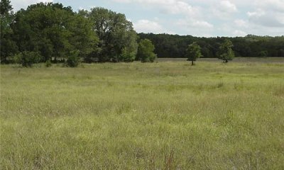 Box image
