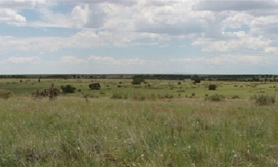 Box image