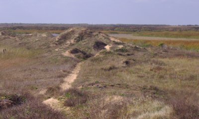 Box image