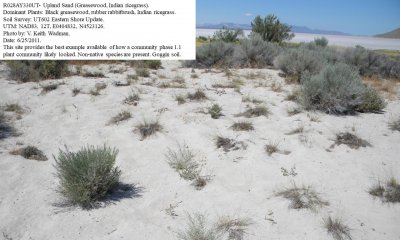 Box image