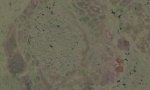 satellite
