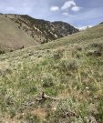 IMG_0019