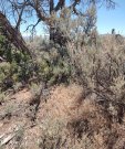 IMG_20220614_115920698_resize