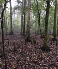 IMG_0887