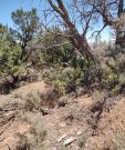 IMG_20220614_115923173_resize