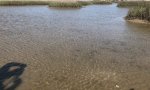bastropbay