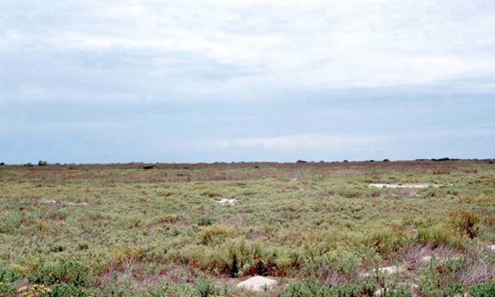 651_Malaquite_FS_Salt_Flat