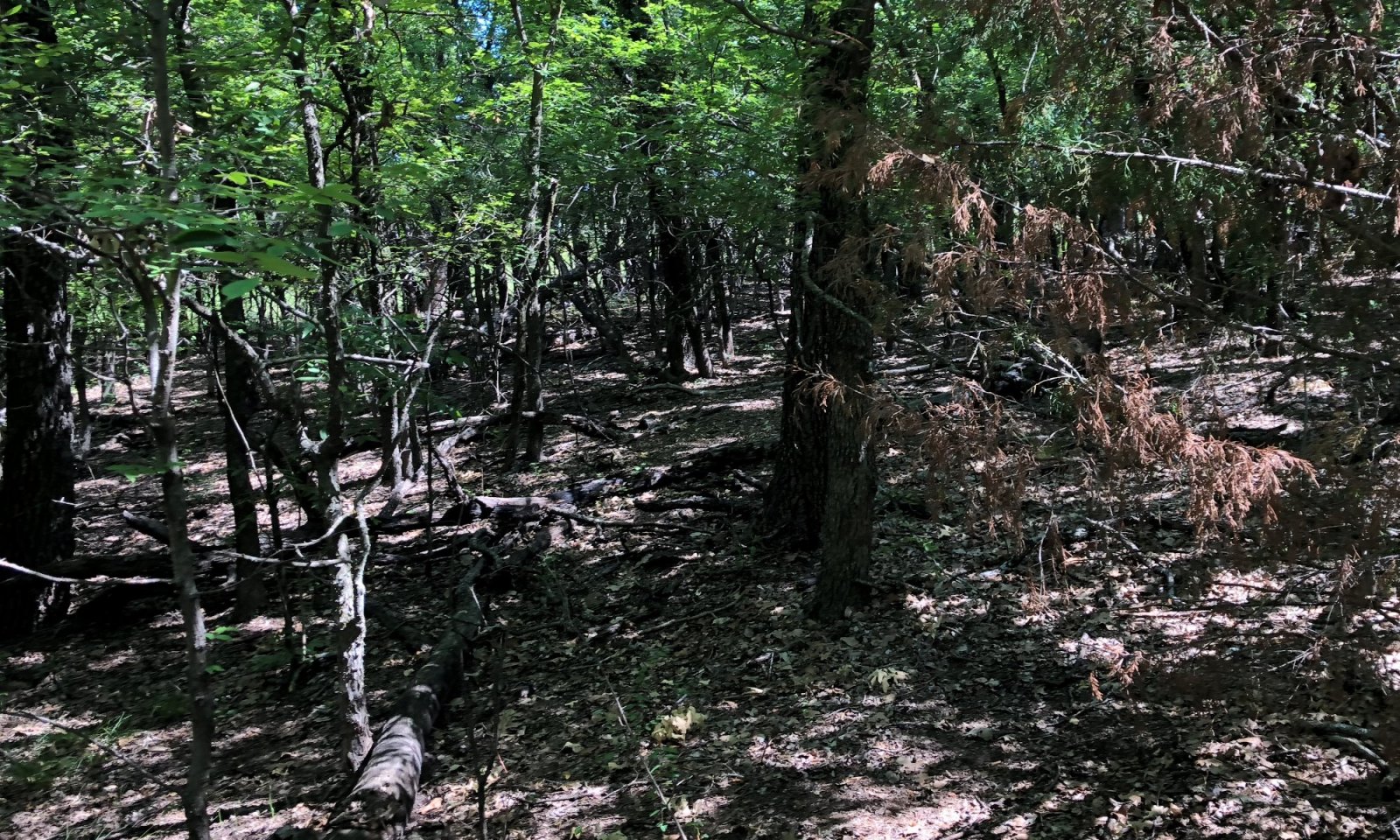 sandstone hill 3
