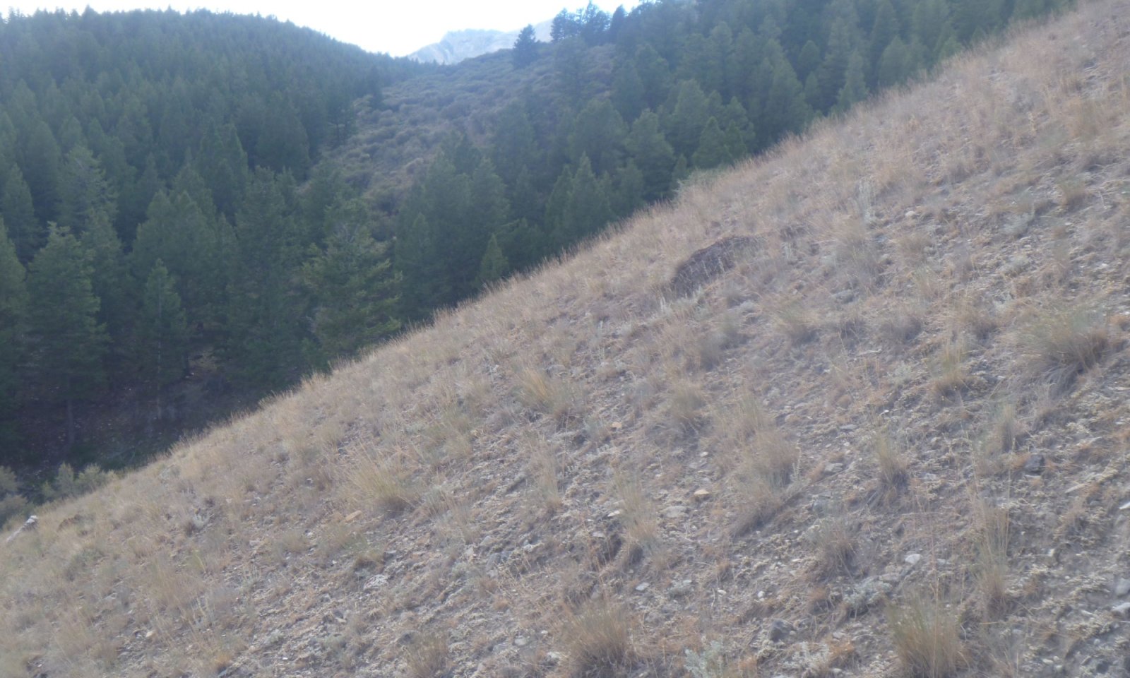 3.1-pic
