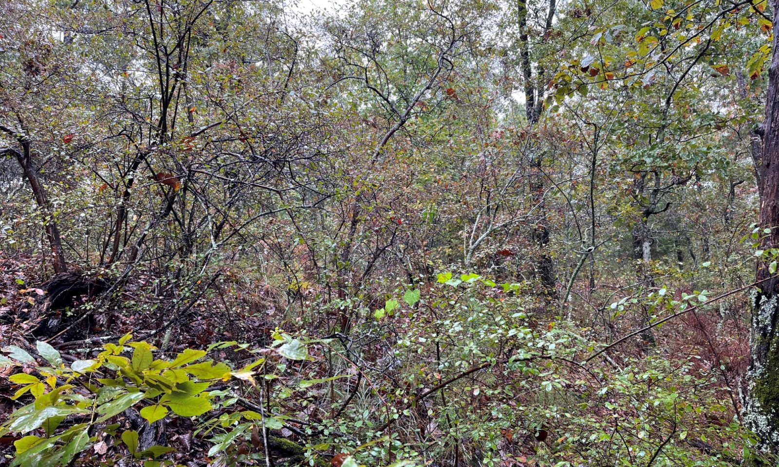 IMG_3512_resize