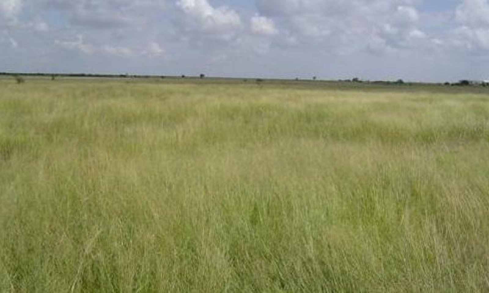 B343_3.1