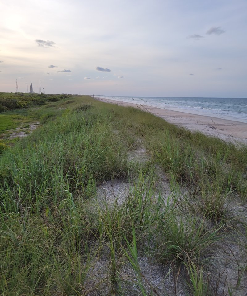 coastal dune strand atlantic - Palm beach NASA