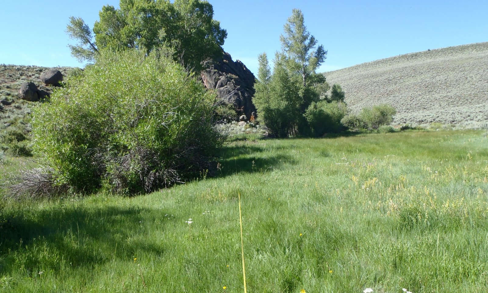 P8050299