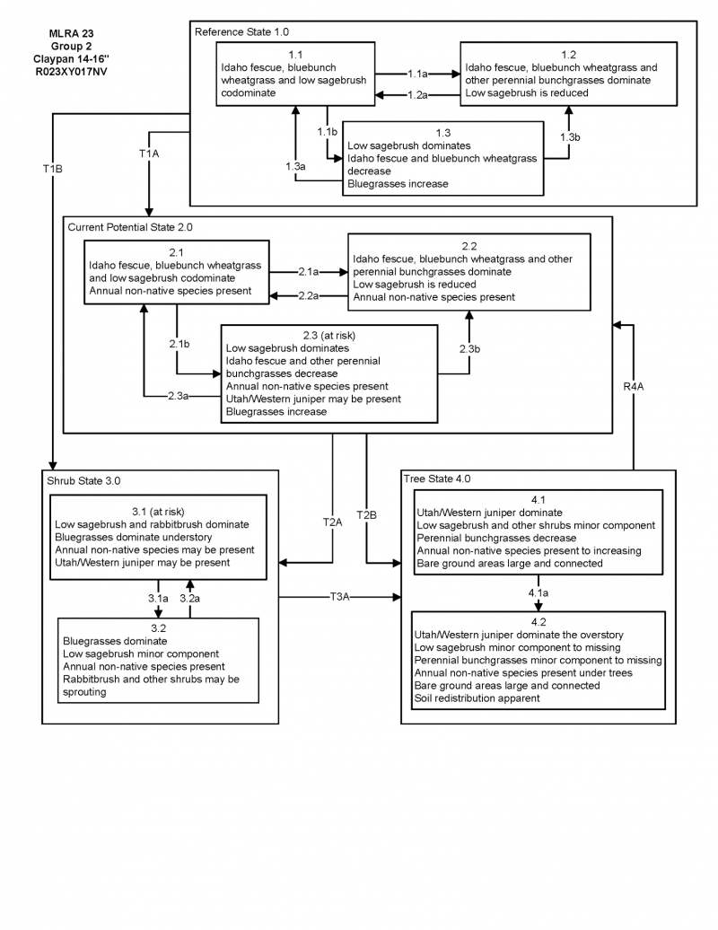 Model diagram