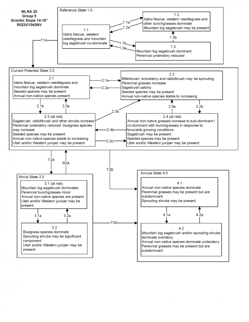 Model diagram