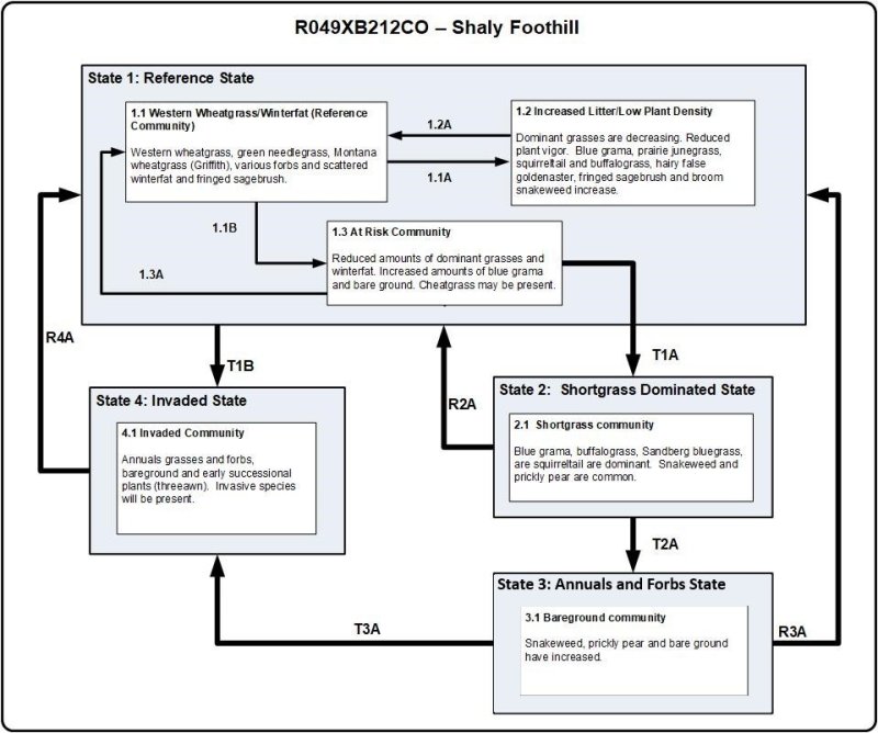 Model diagram
