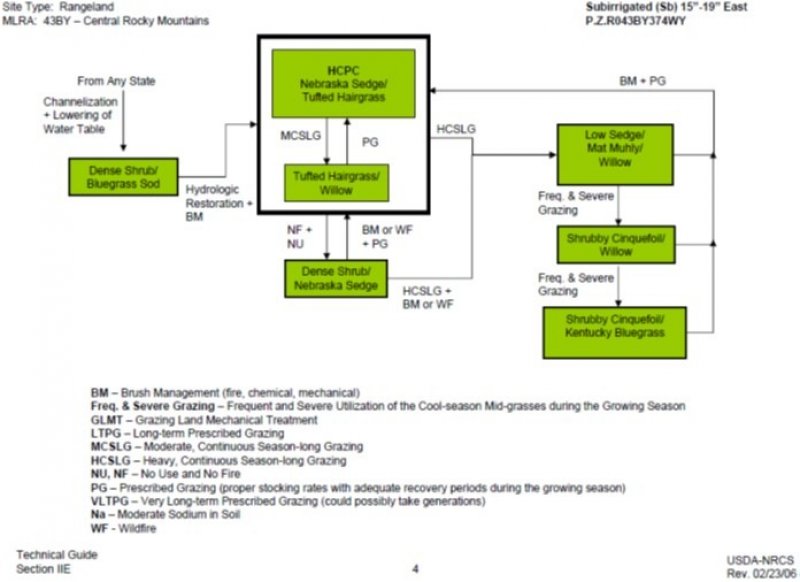 Model diagram