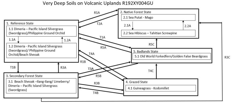 Model diagram