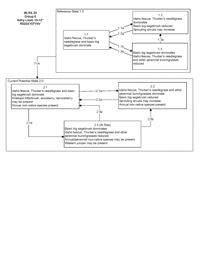 Model diagram