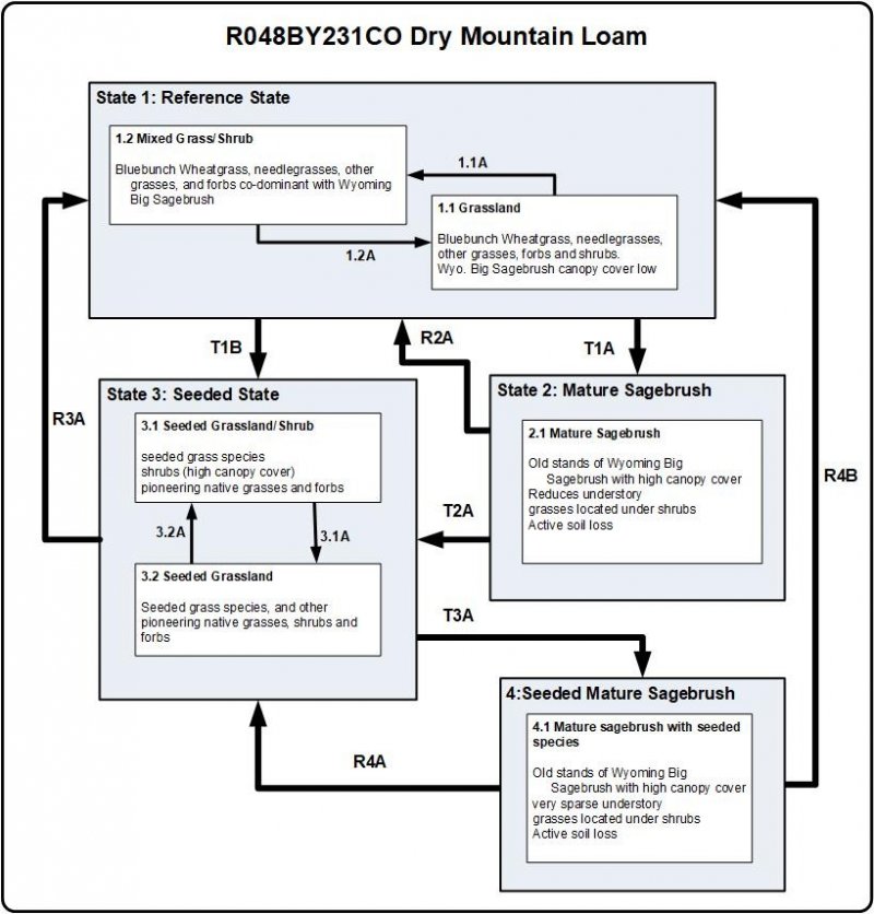 Model diagram