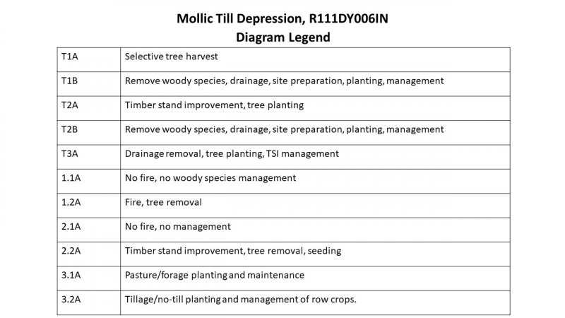 Model diagram