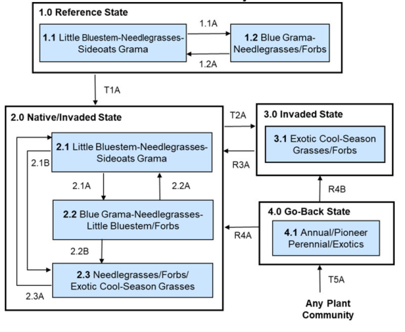 Model diagram