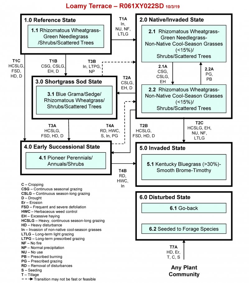 Model diagram