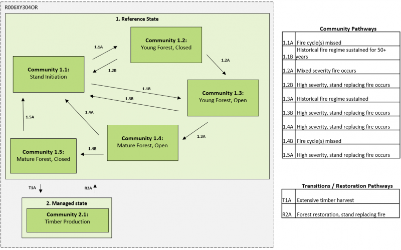 Model diagram