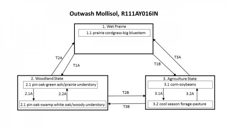 Model diagram