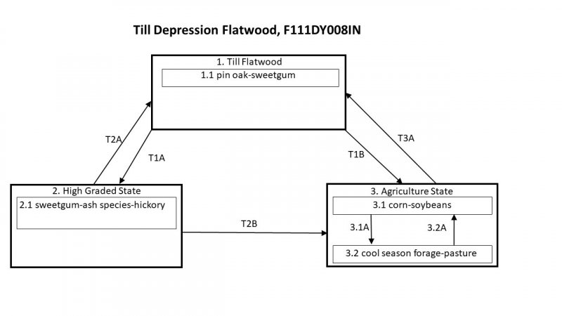 Model diagram