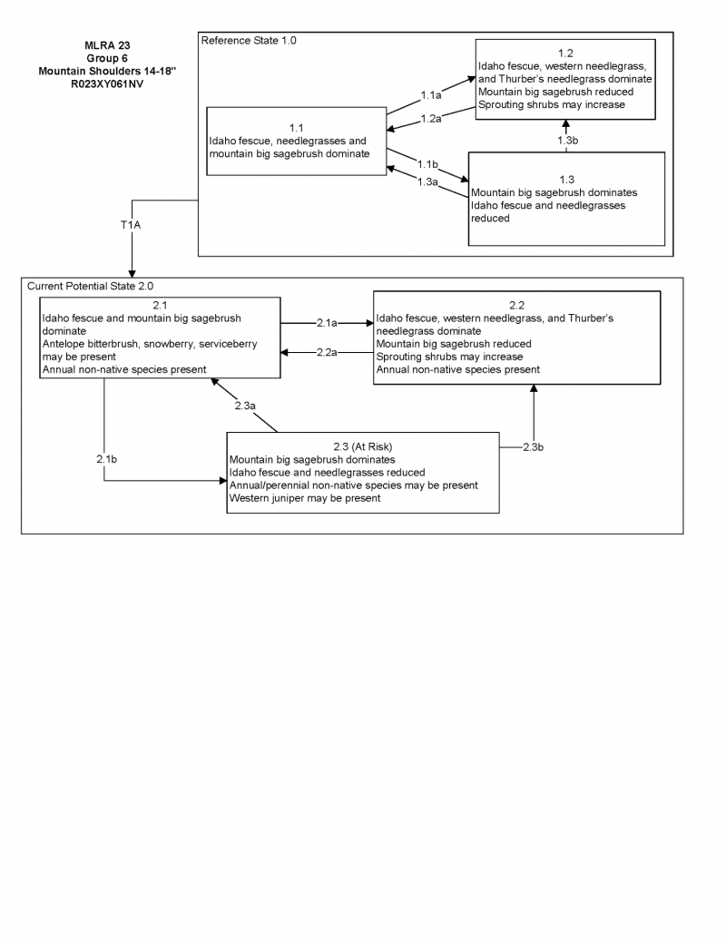 Model diagram