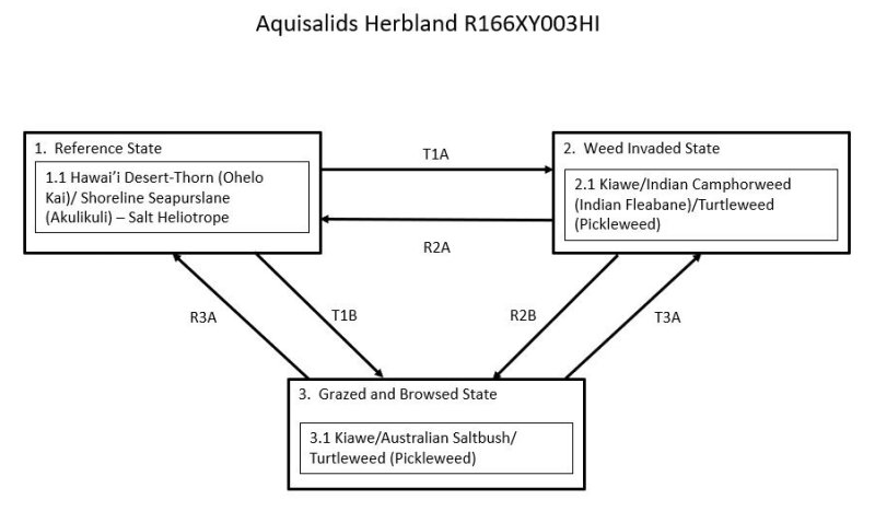Model diagram