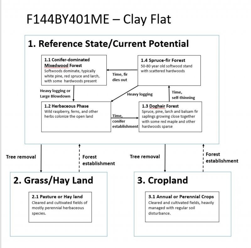 Model diagram